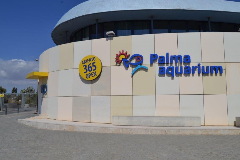 Palma Aquarium (aquarium and amusement park)