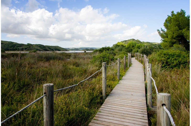 Parc natural de s´Albufera (Nature park)