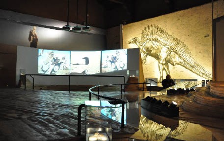 Museo di Storia Naturale (Museum of Natural History) (Complete)