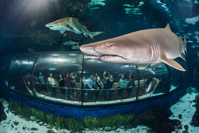 Aquarium de Barcelona