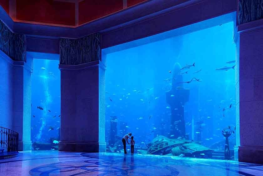 Ambassador Lagoon Aquarium (in 2, 3 and 5 Day Pass)
