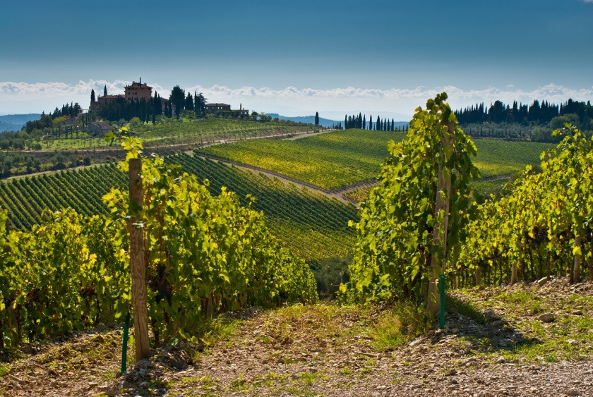 Day trip: Montalcino, Montepulciano, Pienza and wine tasting