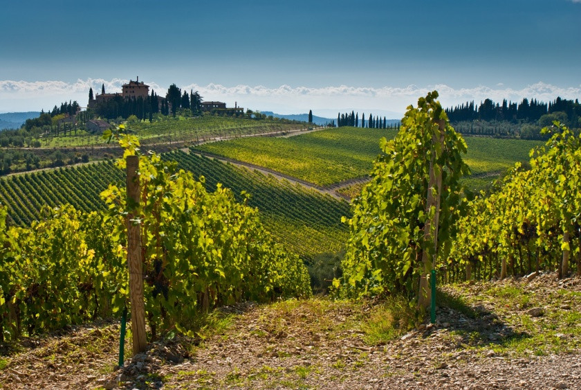 Day trip to Montepulciano and Pienza with wine tasting (20% discount)