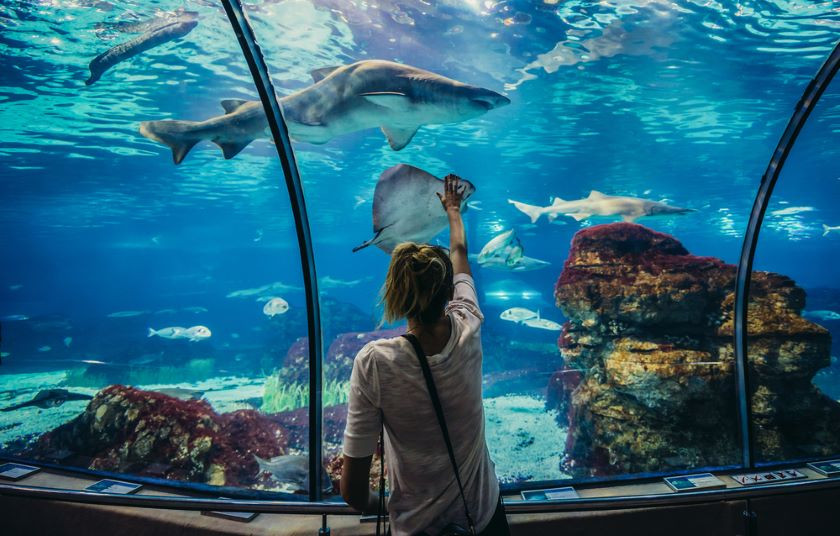 Barcelona Aquarium 