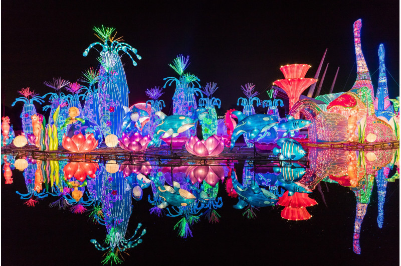 Dubai Garden Glow: Discover the Magic of Light and Colour