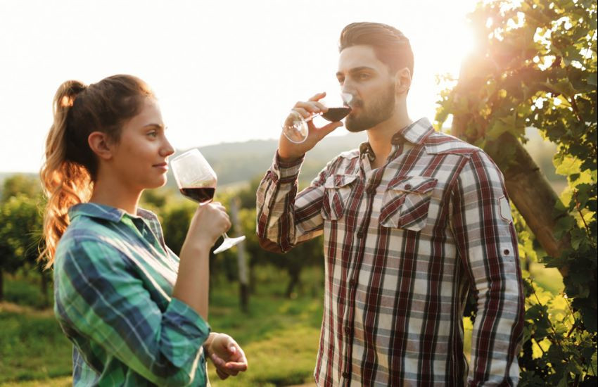 Half-day tour with wine tasting in the Chianti region (30% discount)